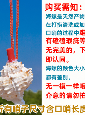 儿童节礼物可吹响海螺贝壳