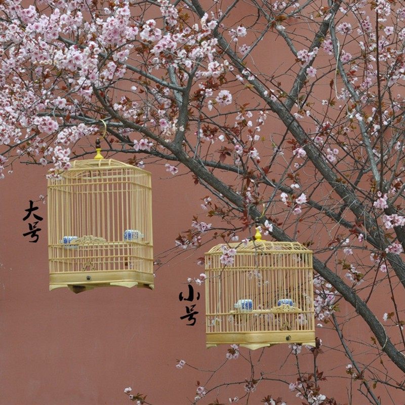 极速包邮!小号蜡嘴鸟笼竹制圆角方笼绣眼M贝子文鸟珍珠玉鸟等小型,淘宝优惠券,粉丝福利购,淘宝优惠卷