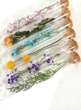 简约现代个性试管标本 样板房客厅卧室装饰摆件