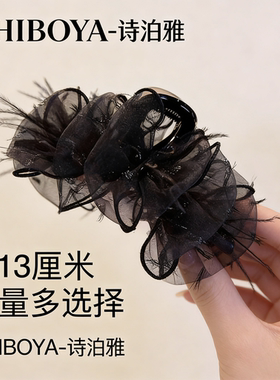 诗泊雅轻奢网纱羽毛盘发抓夹