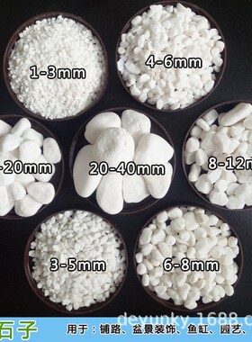 白色鹅卵石园艺白石子多肉铺面白石米庭院铺路雨花石白色石子