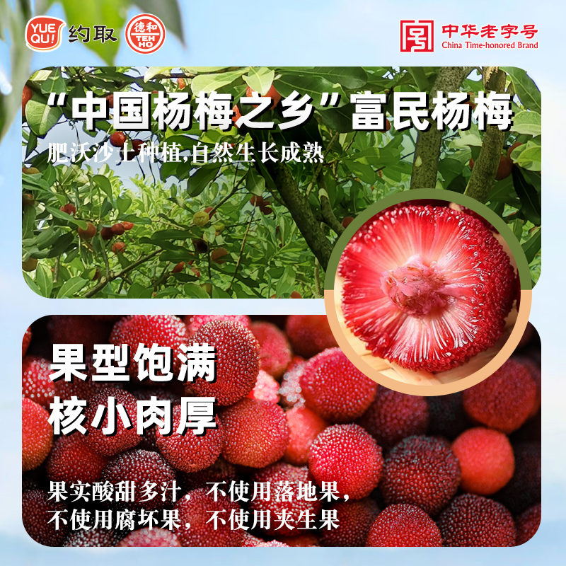 约取德和云南杨梅罐头解渴水果罐头当季采摘鲜果方便即食无添加