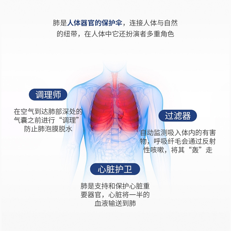 Healthy Care 清肺灵胶囊180粒澳洲进口CW草本提取成人养护养肺 - 图1