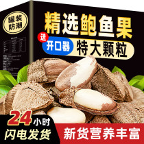 New cargo nuts Big abalone fruits Xinjiang specifishes desert fruits 500g Children pregnant women nuts Brazil fruit snacks