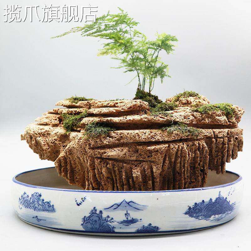 极速吸水石盆景上水石假山石奇石鱼缸造景家居装S饰水秀石头奇石,淘宝优惠券,粉丝福利购,淘宝优惠卷