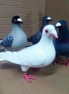 新品小鸽子灰鸽子l仿真鸽子广场鸽摆件野鸽子斑鸠室内园林装饰品