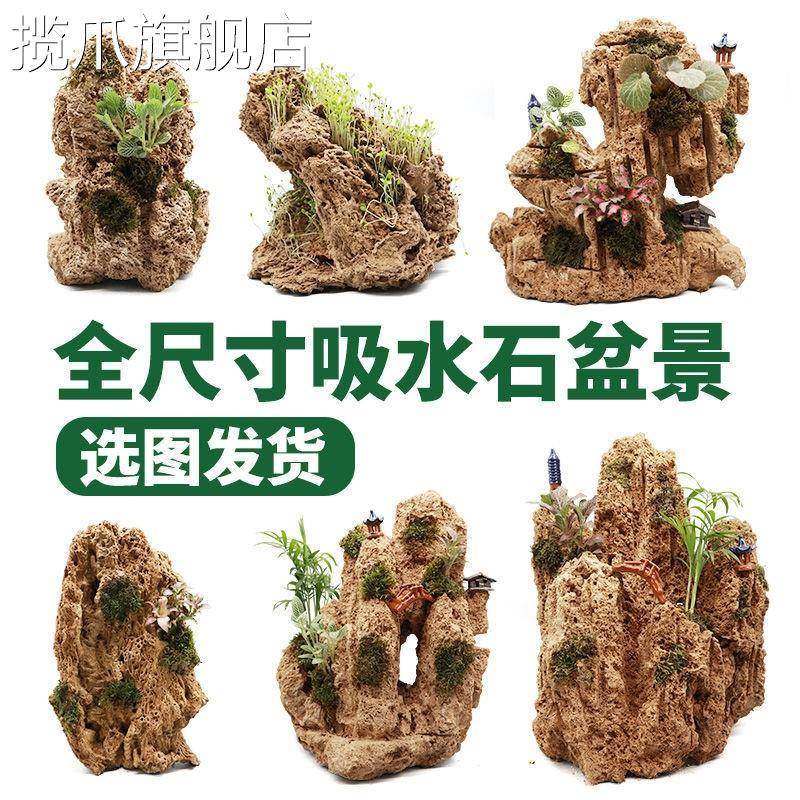 极速吸水石盆景上水石假山石奇石鱼缸造景家居装S饰水秀石头奇石,淘宝优惠券,粉丝福利购,淘宝优惠卷