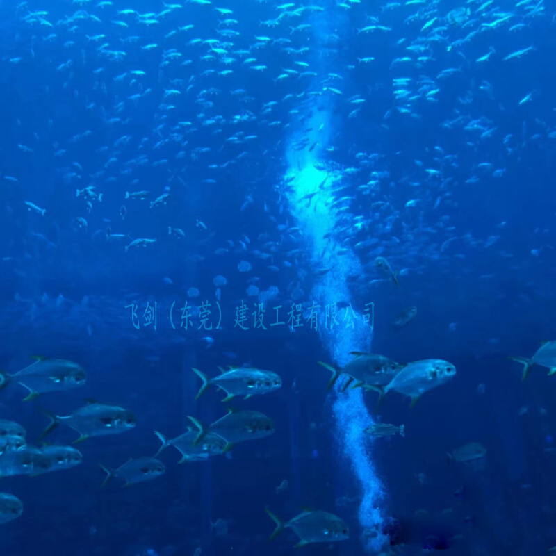 定制大型亚克力水族箱鱼缸高透明有机玻璃水体工程海洋馆设计建造 - 图0