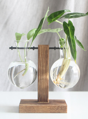 创意木架水培花瓶绿萝植物透明玻璃插花容器桌面摆件家居装饰用品