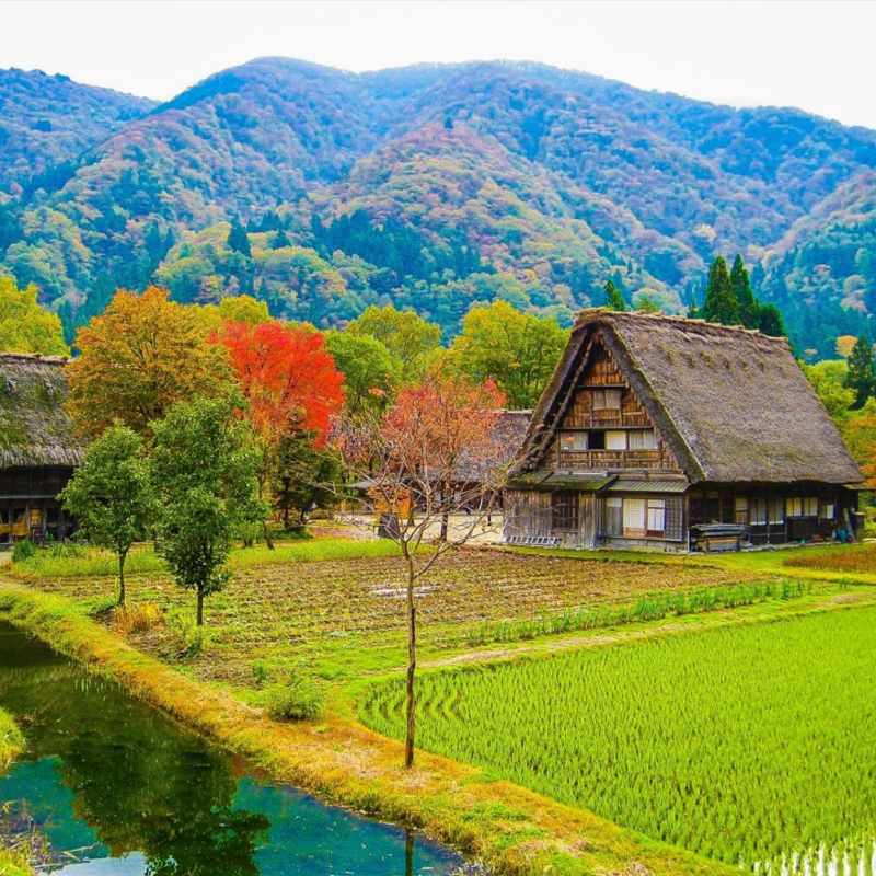 日本名古屋出发—飞驒高山白川乡合掌村一日游-图2