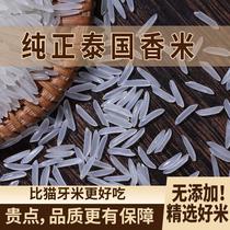Pure Thai fragrant rice with long grain fragrance rice 2023 New rice-long-rice-rice-rice-rice-rice-rice kitty rice official flagship store