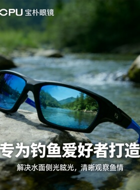 户外路亚防强光墨镜宝朴