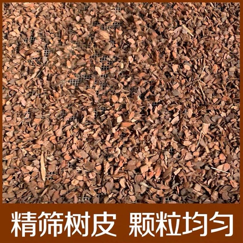 黄缘龟造景专用爬宠垫材 宠物铺地板材料松树皮,淘宝优惠券,粉丝福利购,淘宝优惠卷