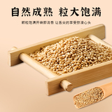 一把锄头东北熟白芝麻1斤券后11.8元包邮