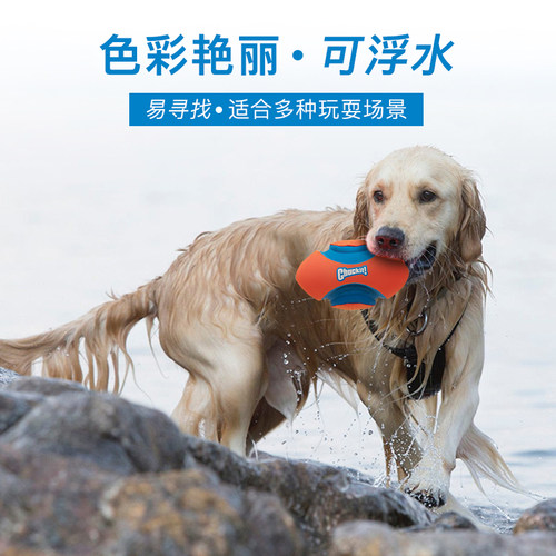美国Petmate狗狗玩具球Chuckit边牧金毛耐咬互动宠物户外训练足球 - 图1