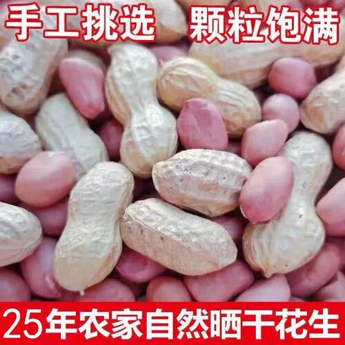 25年新货带壳生花生种子级农家自种白沙粉皮薄壳干花生果1-5斤 - 图0