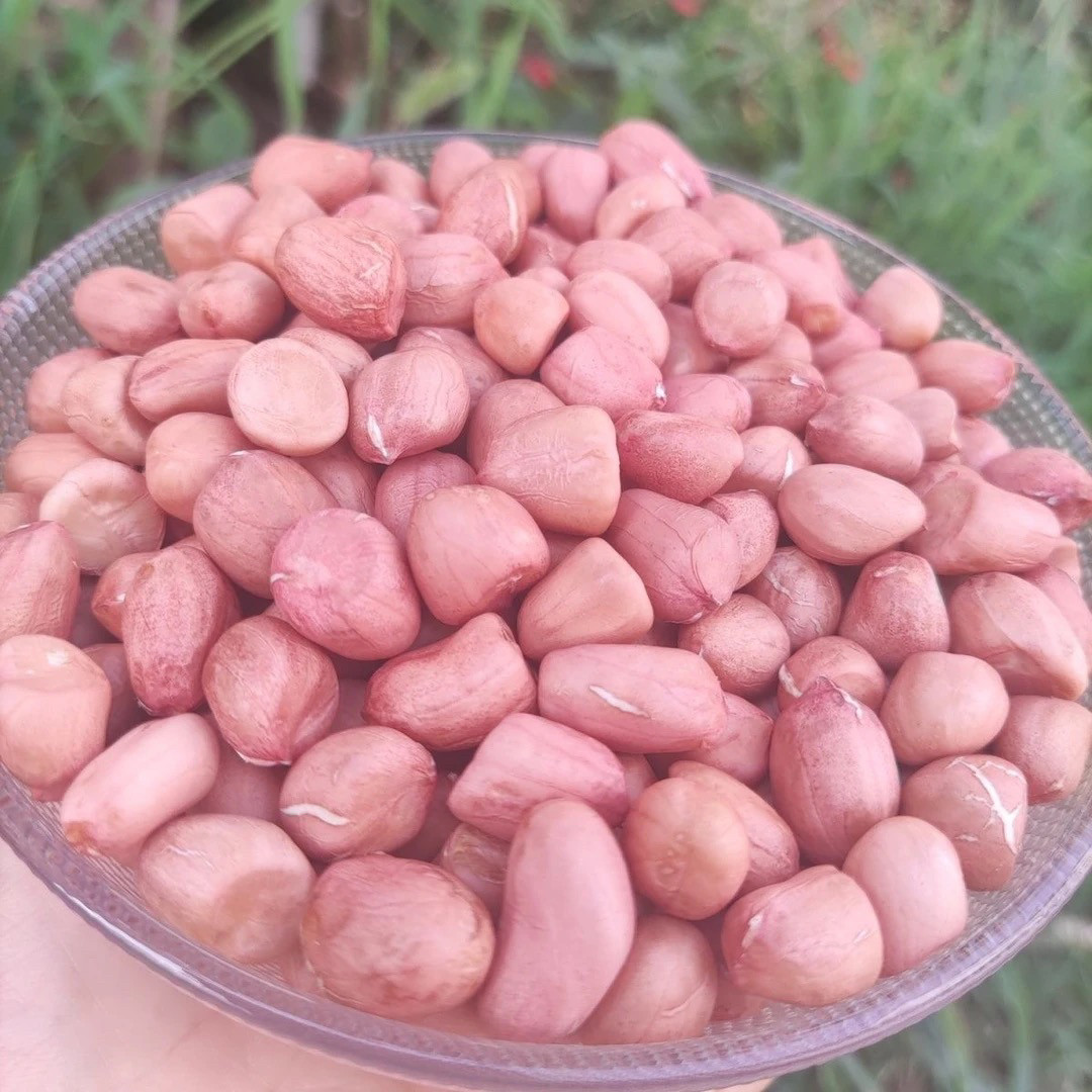25年带壳生花生晒干5斤3斤原味新鲜种子级品质农家粉皮小粒白沙,淘宝优惠券,粉丝福利购,淘宝优惠卷