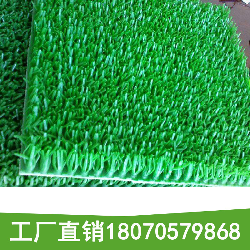 厂家供应加粗加长密m粘金草增金布沾金毯河沙选金淘金工具吸金毛,淘宝优惠券,粉丝福利购,淘宝优惠卷