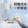 Parrot drinking fountain bird striker kettle automatic water feeding
