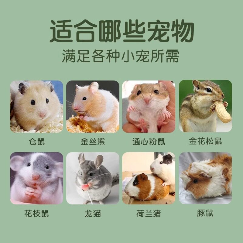 金丝熊仓鼠磨牙棒苹果枝小零食专用可食用解闷自嗨造景用品大全,淘宝优惠券,粉丝福利购,淘宝优惠卷