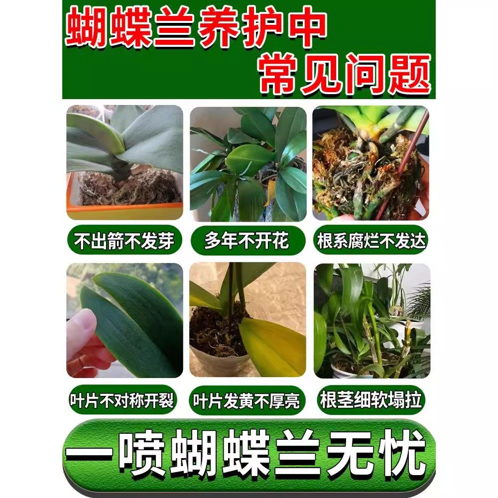 蝴蝶兰营养液爆箭促开花烂根黄叶防病害专用肥料免稀释,淘宝优惠券,粉丝福利购,淘宝优惠卷