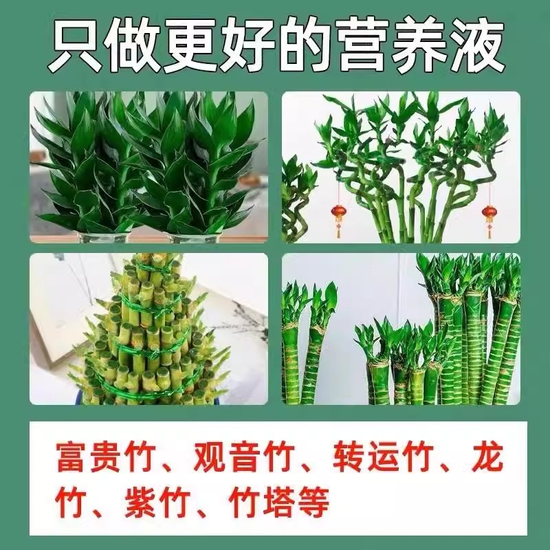 【拯救黄叶】专治叶子发黄烂根一喷绿水培植物液体肥富贵竹营养液