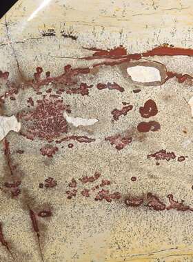 广西国画石天然奇石观赏石草花石椭圆饼摆件客厅电视柜工艺品tz25