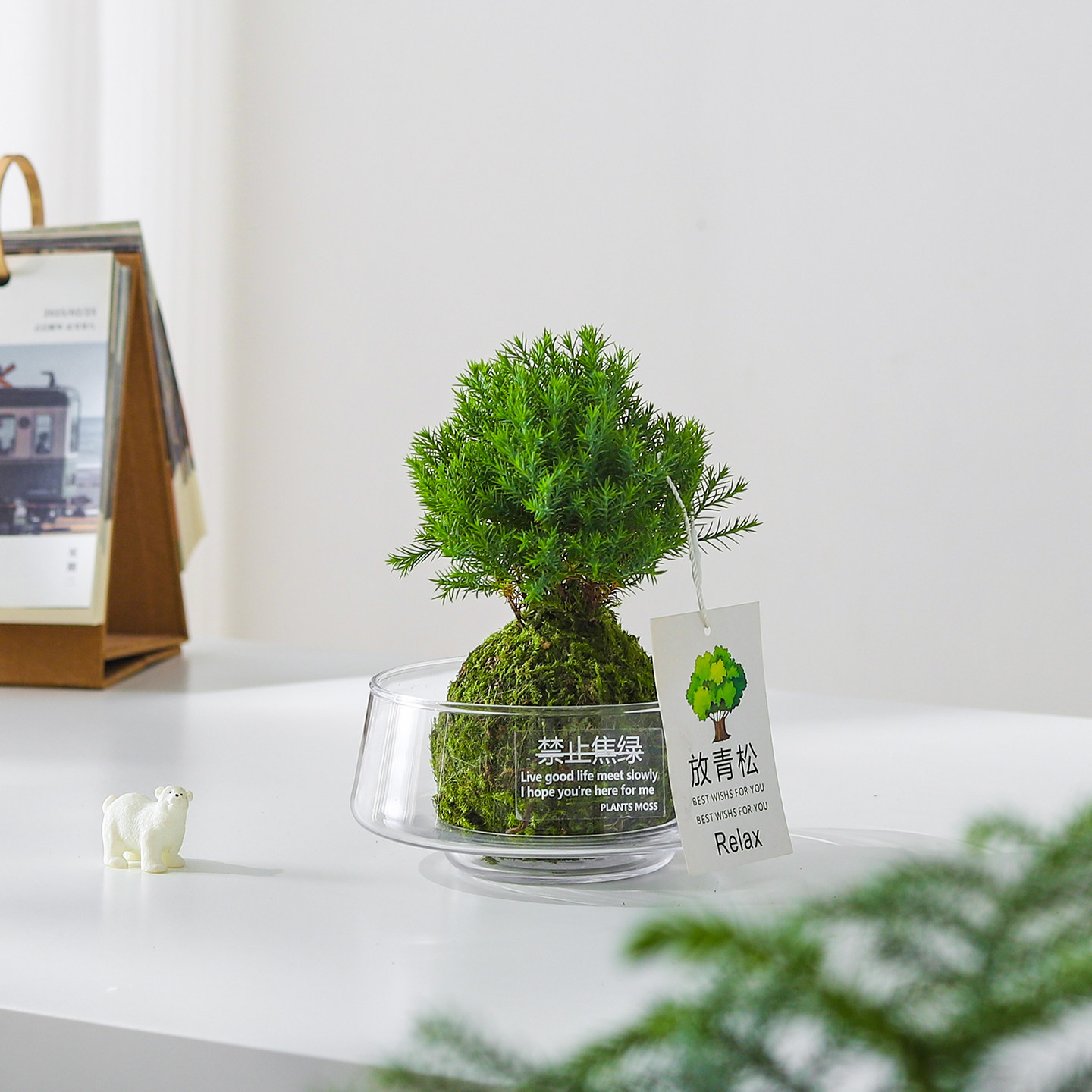 【放轻松】雾凇苔藓球盆栽室内客厅办公室桌面工位创意好养绿植,淘宝优惠券,粉丝福利购,淘宝优惠卷