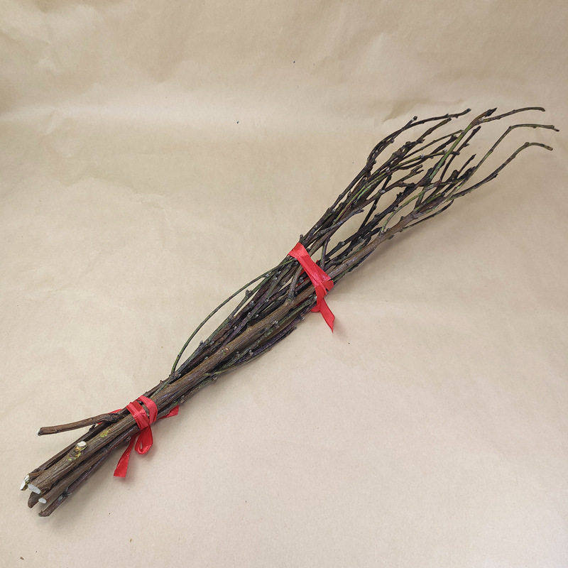 野生桃枝拍摄背景道具儿童创意手工枝条插花田园风干树枝桃花枝,淘宝优惠券,粉丝福利购,淘宝优惠卷