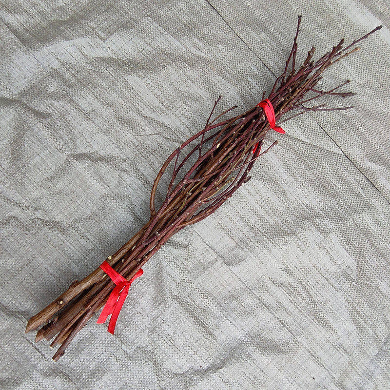 野生桃枝拍摄背景道具儿童创意手工枝条插花田园风干树枝桃花枝,淘宝优惠券,粉丝福利购,淘宝优惠卷