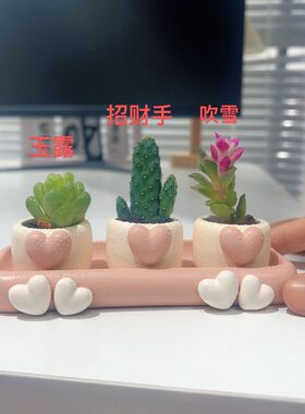 办公室桌面创意多肉拇指小花盆桌绿植新手好养活