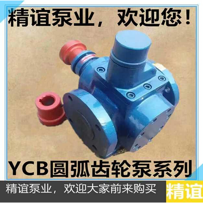 新品包0邮圆弧齿轮油泵YCB066 润滑 泵增Q压泵燃油泵 齿轮 泵 - 图0