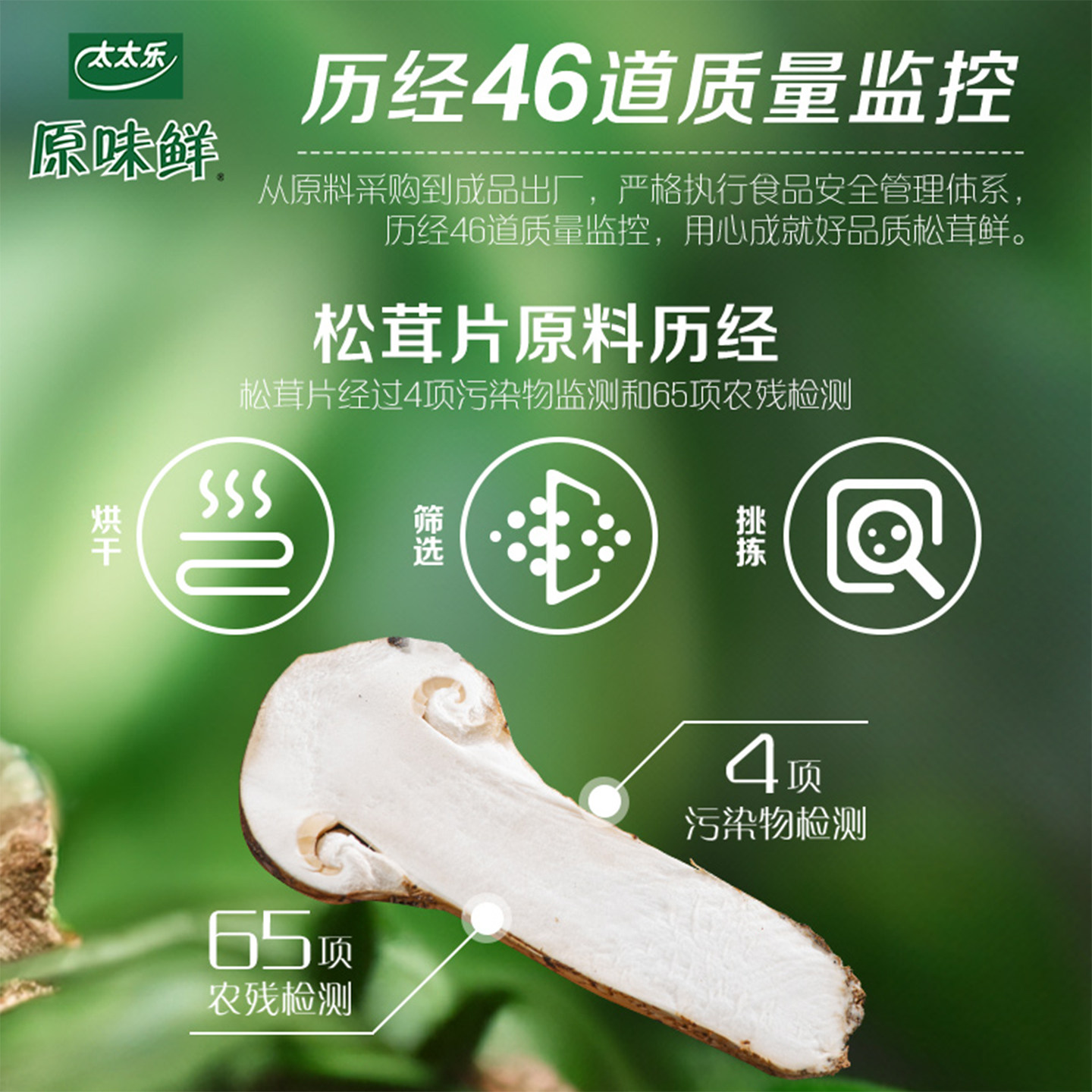 太太乐原味鲜松茸加鲜调味料家用商用炒菜提鲜代替味精煲汤调味品,淘宝优惠券,粉丝福利购,淘宝优惠卷