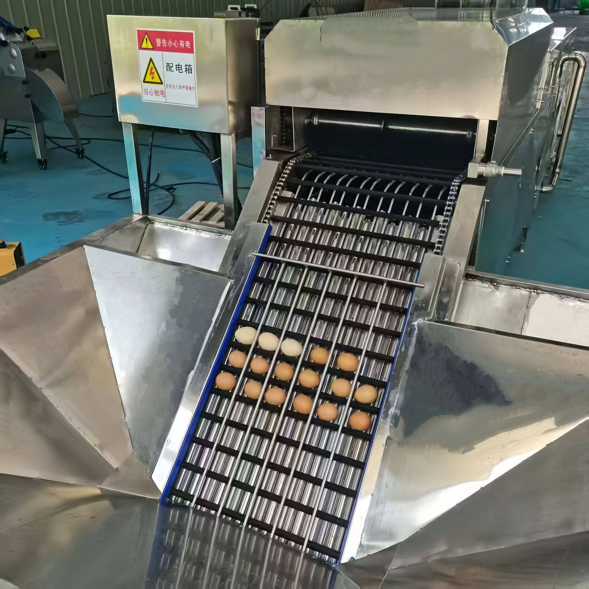 多功能鸭蛋清洗流水线 黄金蛋去泥设备 水箱上蛋浸泡洗蛋机,淘宝优惠券,粉丝福利购,淘宝优惠卷