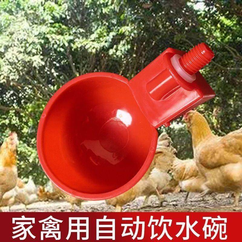 新款鸡鸭鸽子饮水碗雏鸡鸟用饮水器鹌鹑自动喂水器养殖自动喝水器,淘宝优惠券,粉丝福利购,淘宝优惠卷
