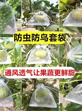 阳光玫瑰葡萄套袋果树防虫网袋防鸟纱网袋保护无花果番石榴草莓套