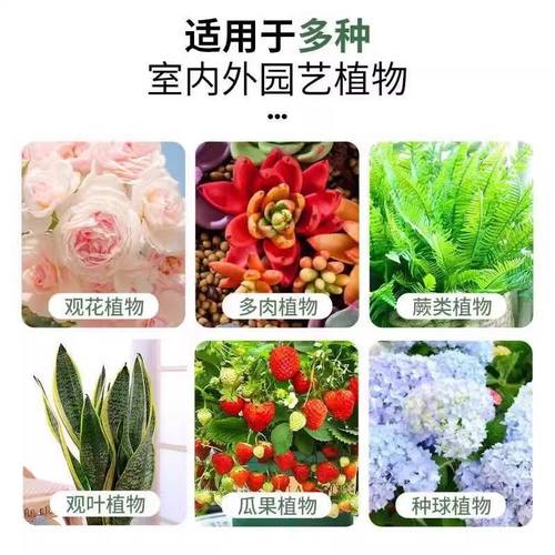 2025新款绿植花卉多肉植物专用氮磷钾缓释营养液生长神器肥料 - 图1