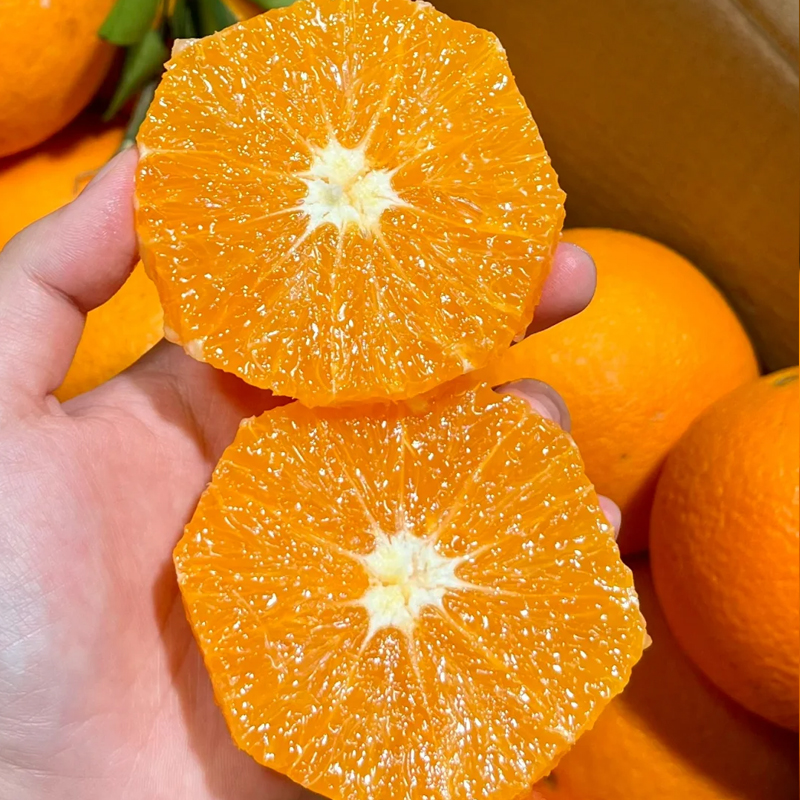 湖北秭归脐橙新鲜水果橙子当季整箱伦晚应季纽荷尔爆甜橙冰糖手剥