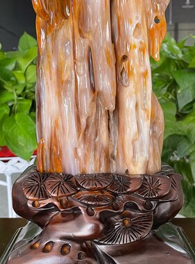 缅甸树化玉奇石天然桌面观赏石木化玉风水家居装饰小摆件镇宅原石