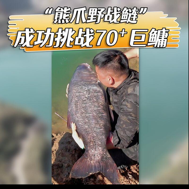 张二爹同款鲢鳙海杆远投抛竿海竿雄霸天下超硬巨物鱼竿套装 - 图2