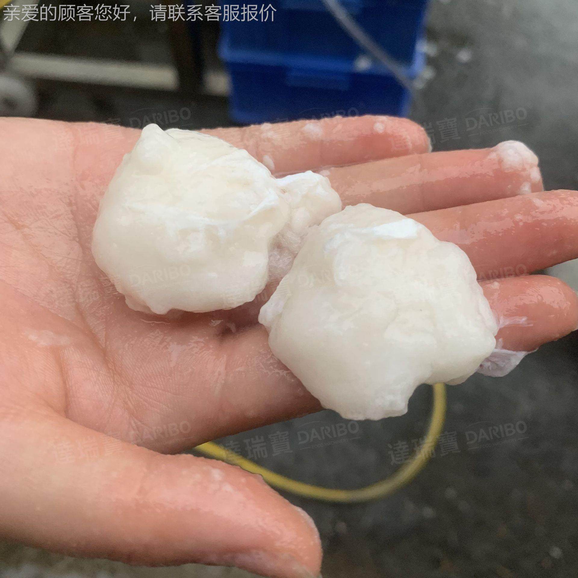 W全自动DAO鱼丸加工器鱼丸成型机做出的丸子 大可调速机小度快,淘宝优惠券,粉丝福利购,淘宝优惠卷