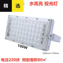 Zelangfan LED Floodlight Outdoor Waterproof Spotlight High Power Super Bright Outdoor Light Street Lamp Door Light Courtyard Lamp 12v