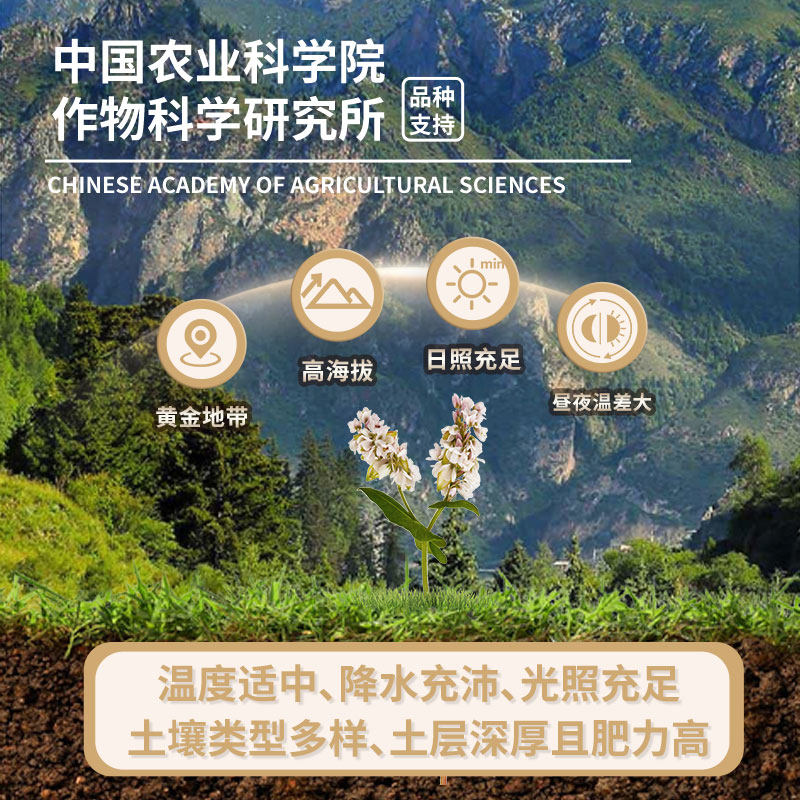 中国农科院荞麦饼干营养休闲零食代餐食品健身饱腹产品荞麦系列品,淘宝优惠券,粉丝福利购,淘宝优惠卷