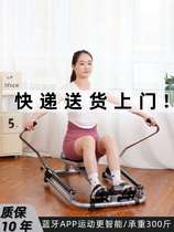 Double Paddle Rowing Machine Home Mute Hydraulic Rowing Instrumental Fitness Equipment Multifunction Simulation Rowing Exercises Waist Back