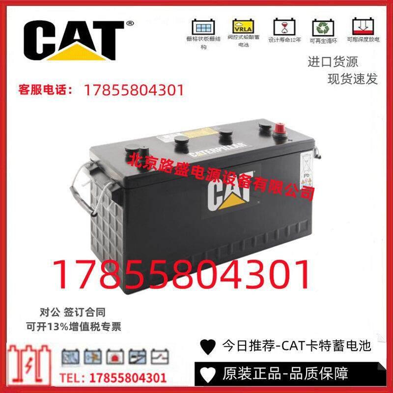 德国卡特CAT蓄电池101-400 12V190AH挖掘机用 启动风力发电机用 - 图2