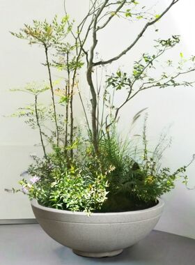 轻奢高级感大号落地圆形花盆碗状蓝花楹百合竹专用大口径花盆客厅