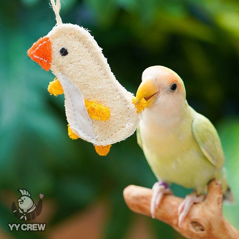 快速发货鹦鹦队鹦鹉小鸡啃咬挂件丝瓜络解闷玩具牡丹Y玄凤文鸟互,淘宝优惠券,粉丝福利购,淘宝优惠卷