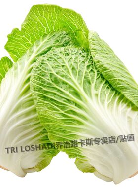 水果蔬菜贴纸厨房贴画高清遮丑瓷砖墙贴防油污爆款青菜自粘门贴