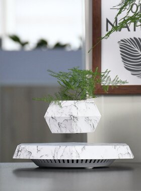 跨境 磁悬浮盆栽新奇特创意花盘节日礼品礼物磁悬浮盆栽摆件