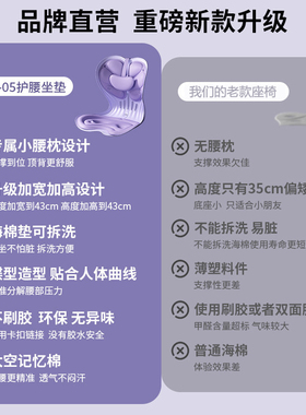 德国办公室支撑腰托坐姿矫正器